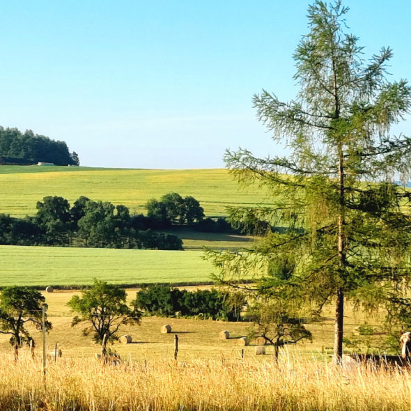 Naturschlüssel Ablauf