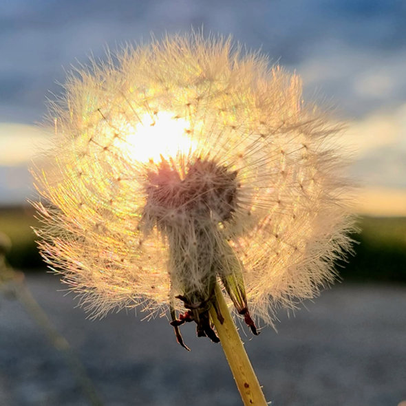 Naturschlüssel Burnout Prävention